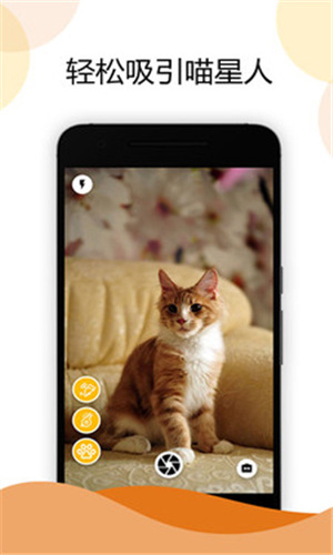 猫咪相机app下载手机版