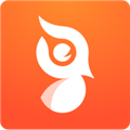 啄木鸟运动健康管理app手机最新版